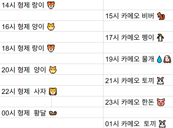 [12월19일] 금일 방송 스케줄입니다