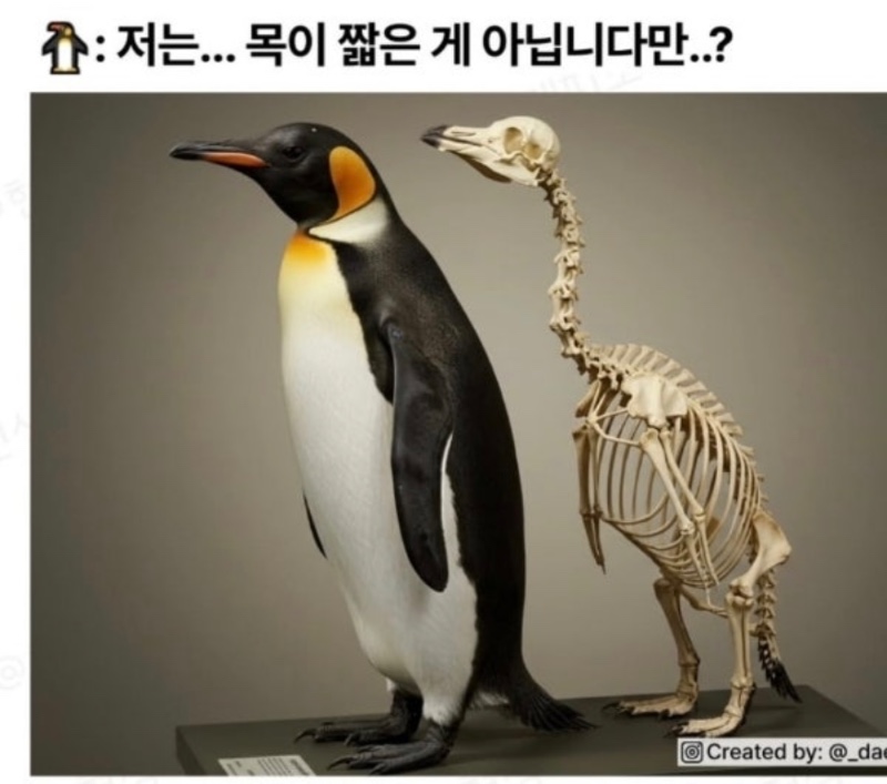 목이 짧은게 아닙니다만