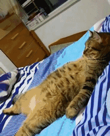 ❤️ 따뜻하고 행복한 주말 되셔에! ❤️