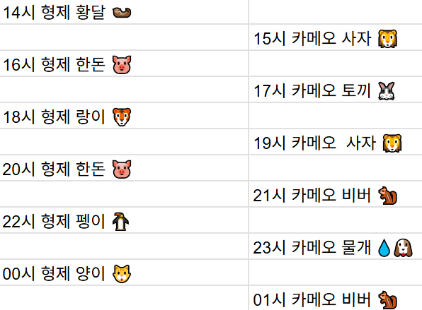 [12월20일] 금일 방송 스케줄입니다