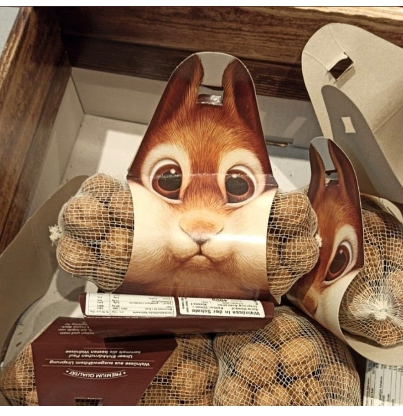 기요미 호두 포장