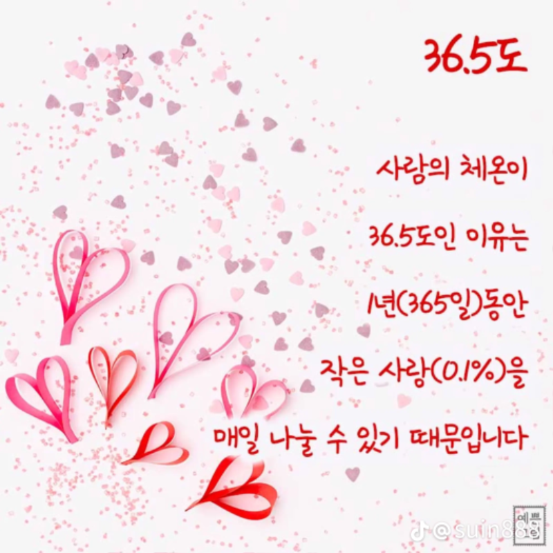 굿밤~부러지지않는다