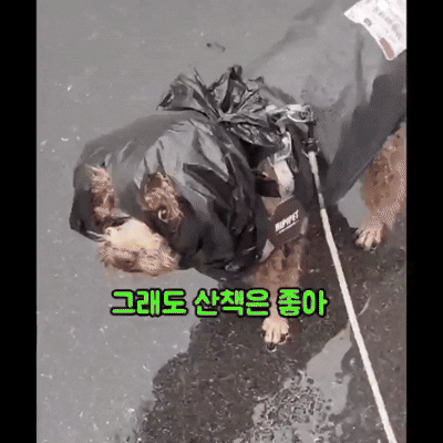 엄마가 돈이 없어서 미안해