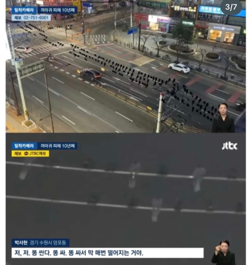 수원의 붕어빵 아저씨