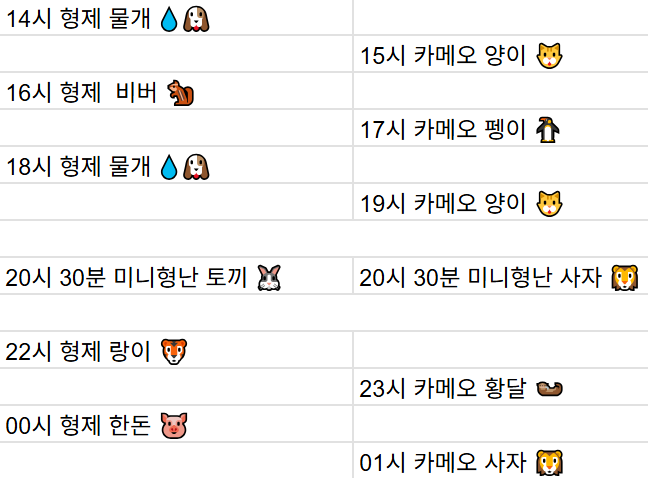 [12월23일] 금일 방송 스케줄입니다