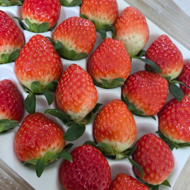 째니가보내준 딸기♡