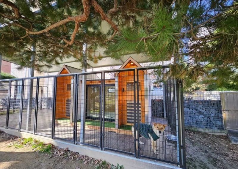 골프선수 박세리 개집 공개