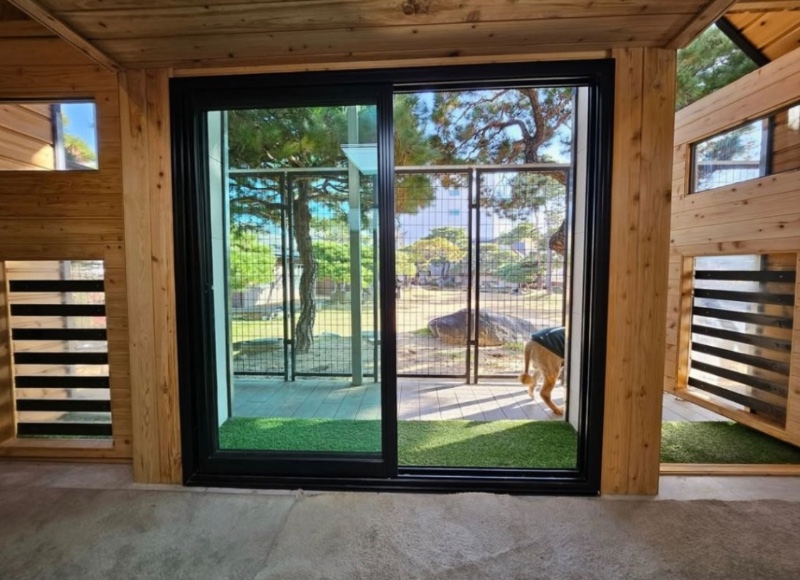 골프선수 박세리 개집 공개