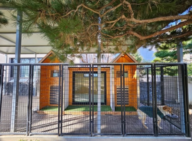 골프선수 박세리 개집 공개