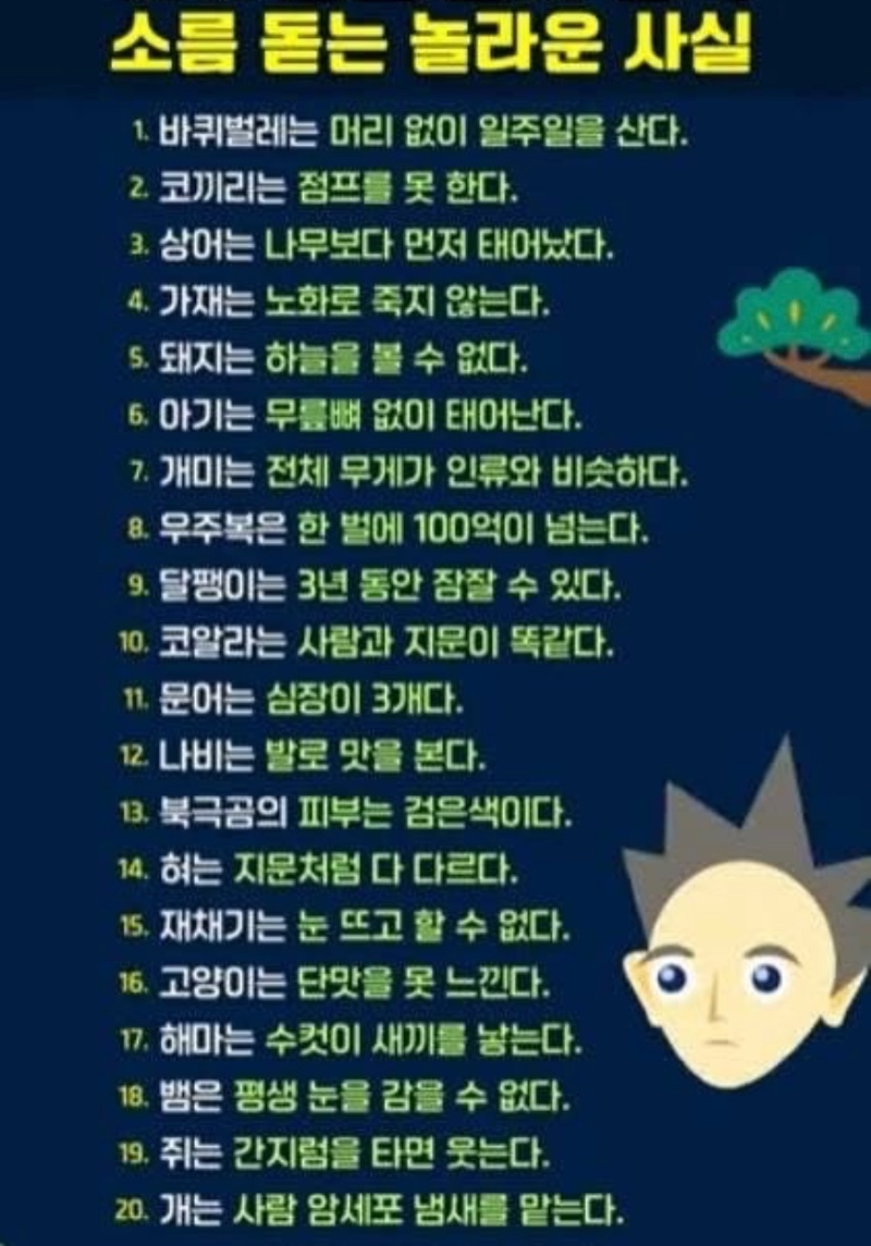 이거 알면 인싸 등극