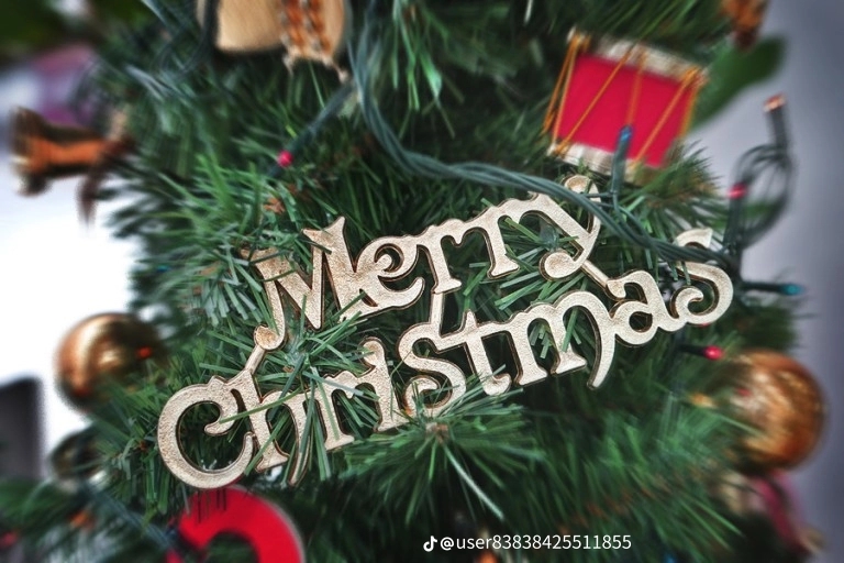 메리크리스마스 ~♡