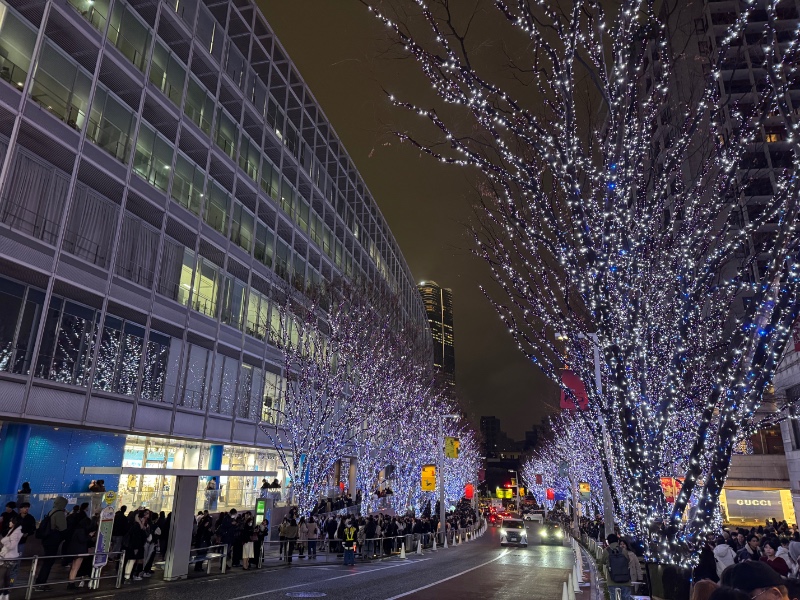 잰아 야경 맛집 구경할라요 ?