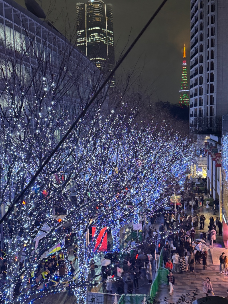 잰아 야경 맛집 구경할라요 ?