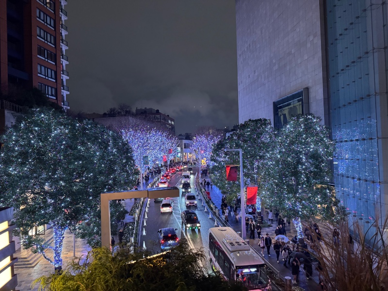 잰아 야경 맛집 구경할라요 ?