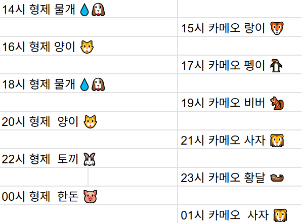 [12월26일] 금일 방송 스케줄입니다