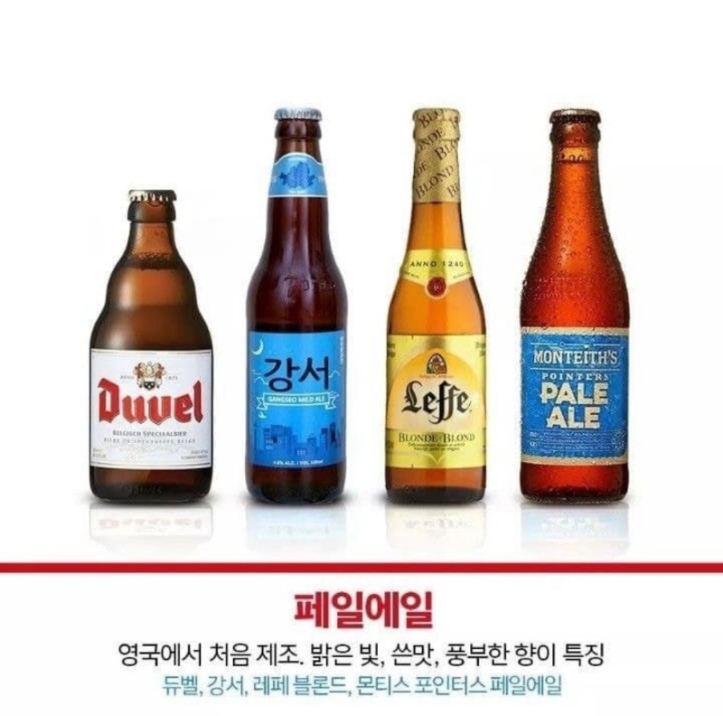 알기쉽게 정리한 맥주 종류