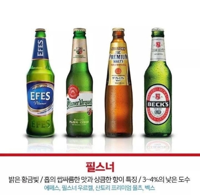 알기쉽게 정리한 맥주 종류