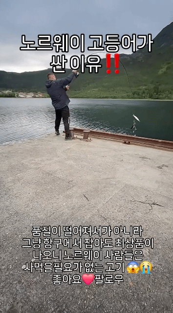 노르웨이 고등어가 저렴한 이유