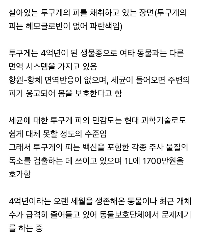 백신을 위해 희생되고 있는 동물