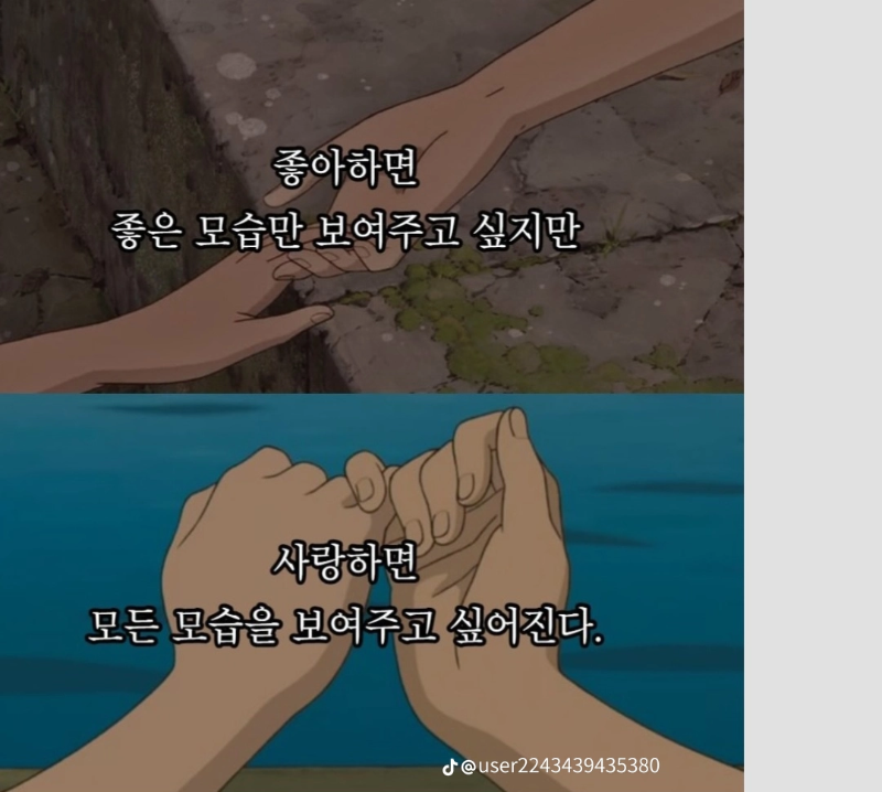 좋아하는것과 사랑하는  것의 차이점