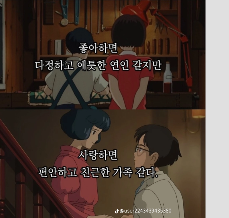 좋아하는것과 사랑하는  것의 차이점