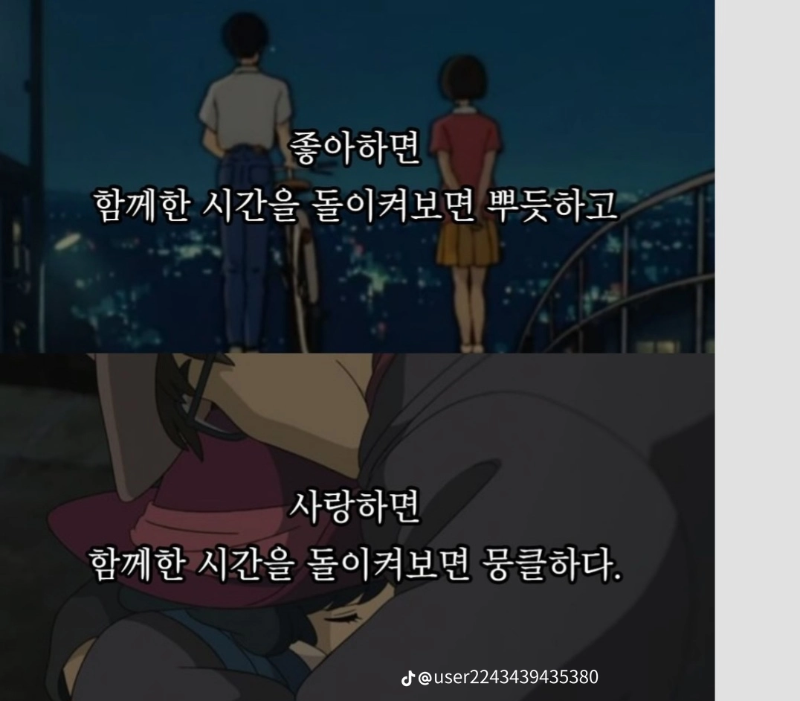 좋아하는것과 사랑하는  것의 차이점