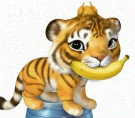 슬카 댓글 ~ 쭉 돌아보니 ~~ 슬카 댓글 ~ 쭉 돌아보니 ~~