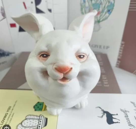 토끼랑 돼지랑 교미하면..?