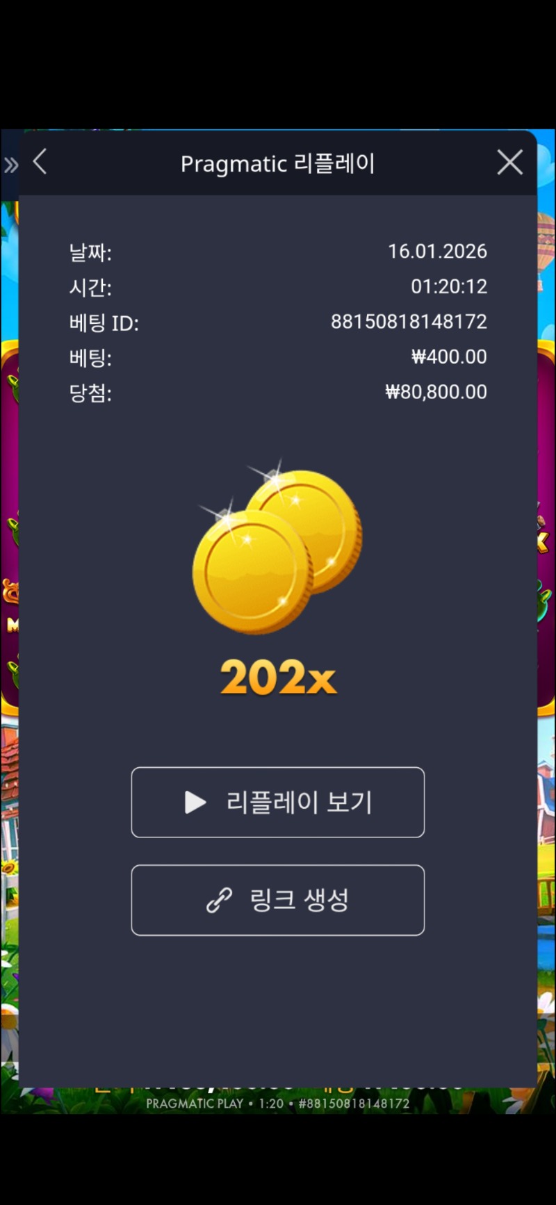 황금멀티 202배