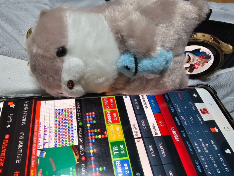 오늘도 달달이가 20만포 챙겨줄까요?