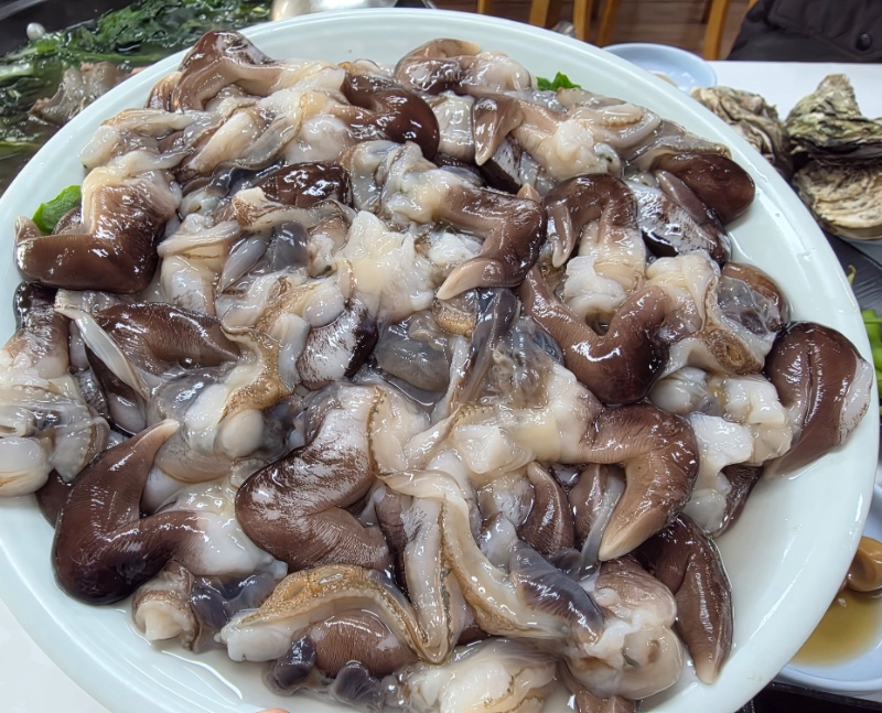 오늘 남당항 다녀옴 (새조개)ㅋ오는길에 예당호도 ㅎ