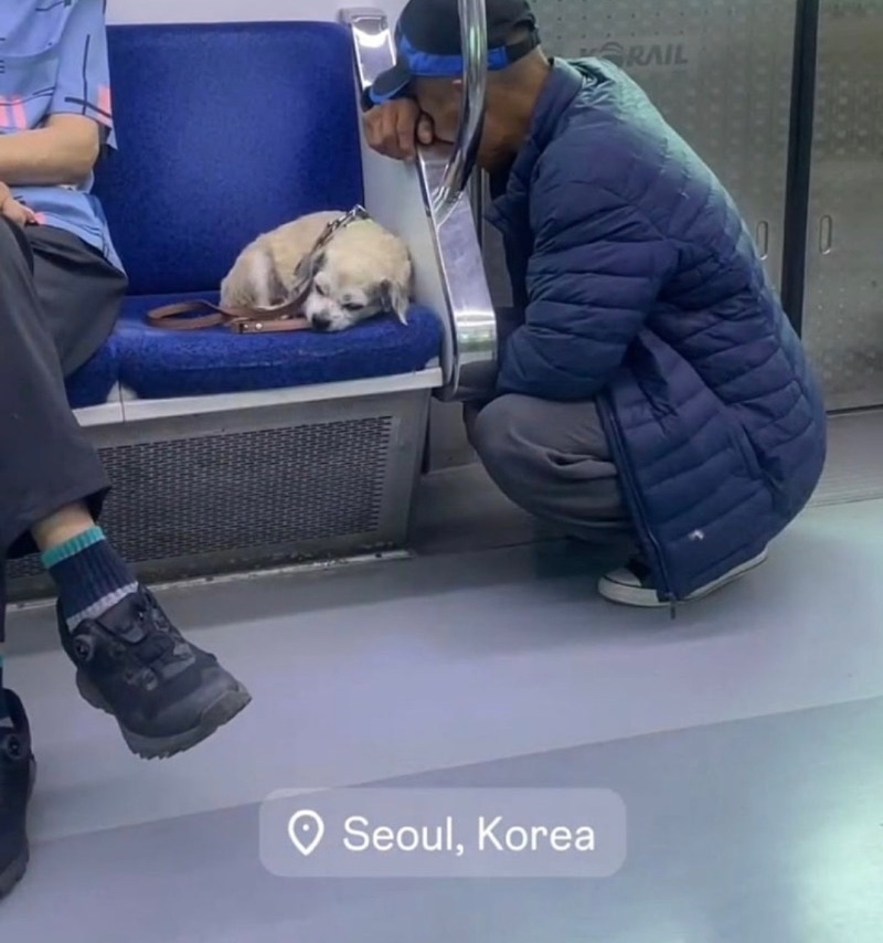 외국인이 찍은 1호선 지하철