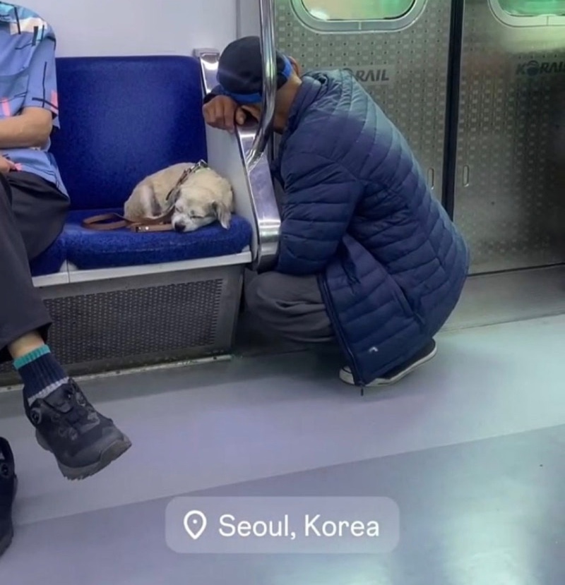 외국인이 찍은 1호선 지하철