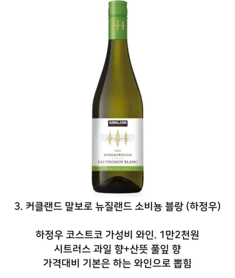 연예인 픽 가성비 와인들