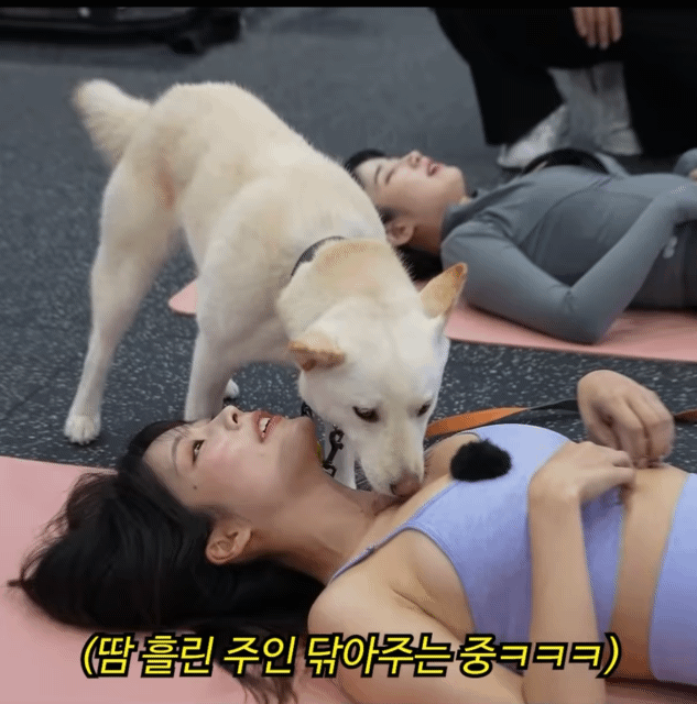 땀 흘린 주인 닦아주는 중