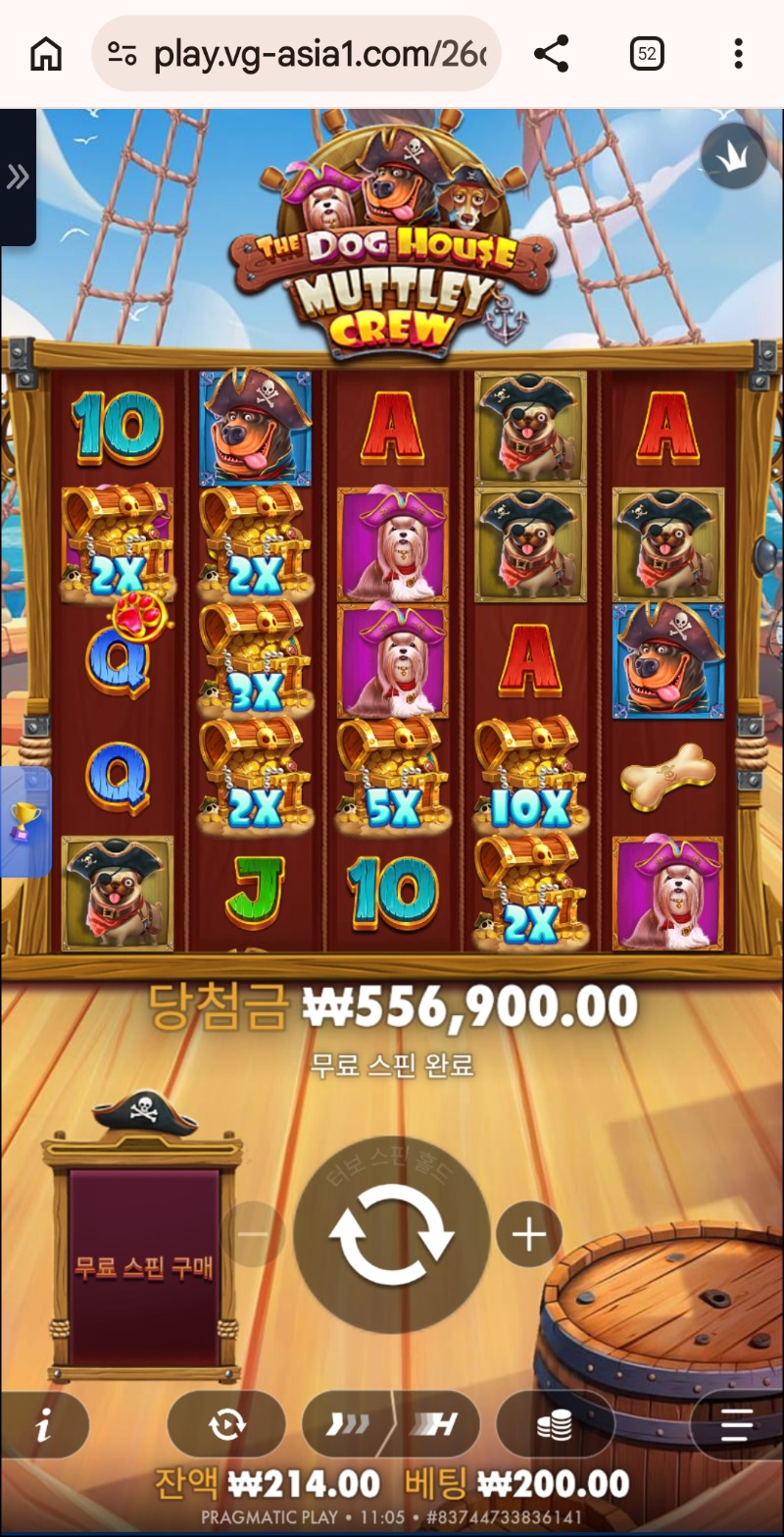 도그 멀티 크루2784배