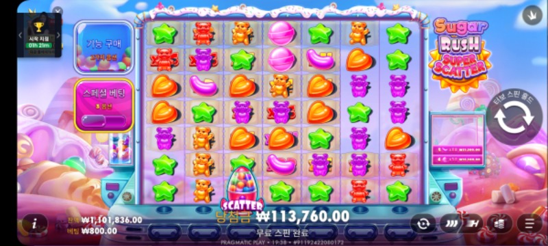 슈가 러시 142배