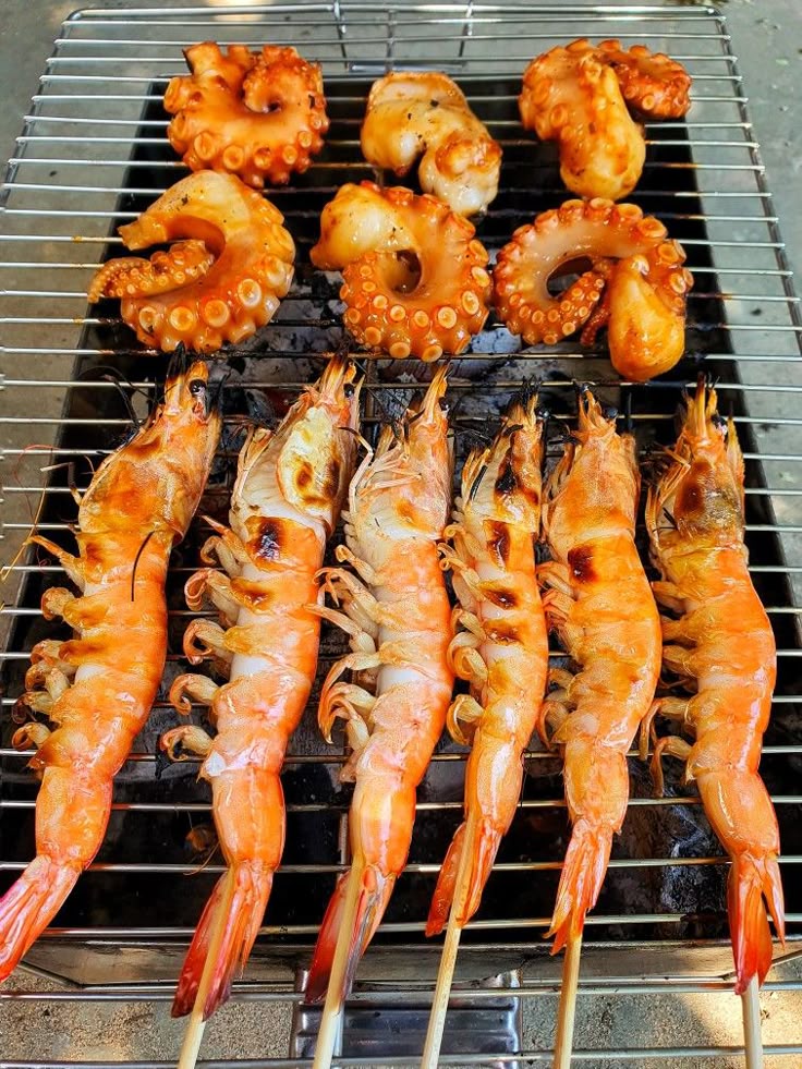 올만에 양이 쩌메추~~~~~