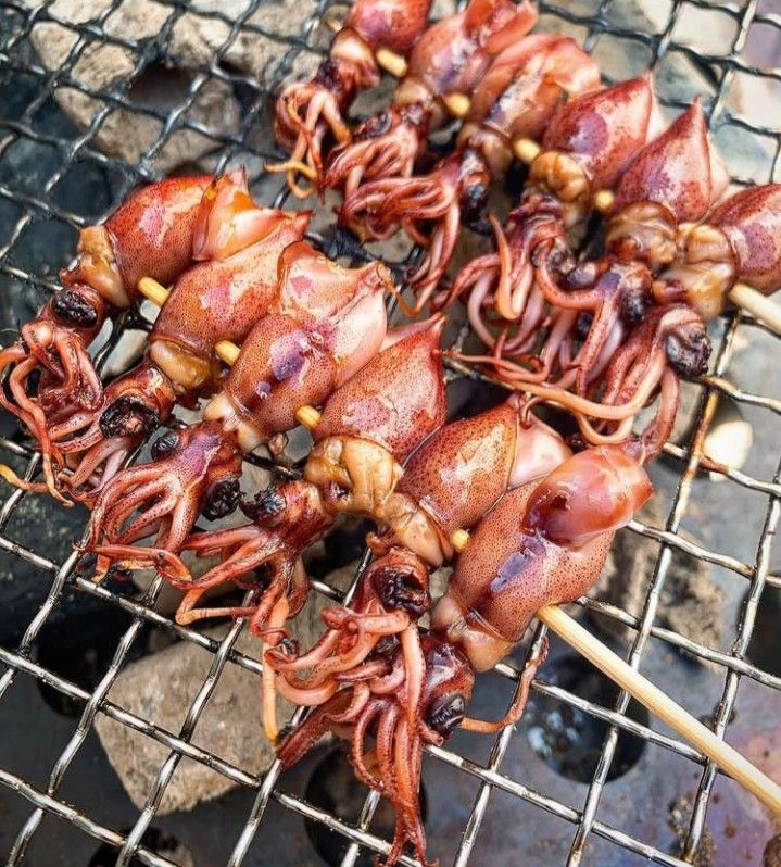 올만에 양이 쩌메추~~~~~