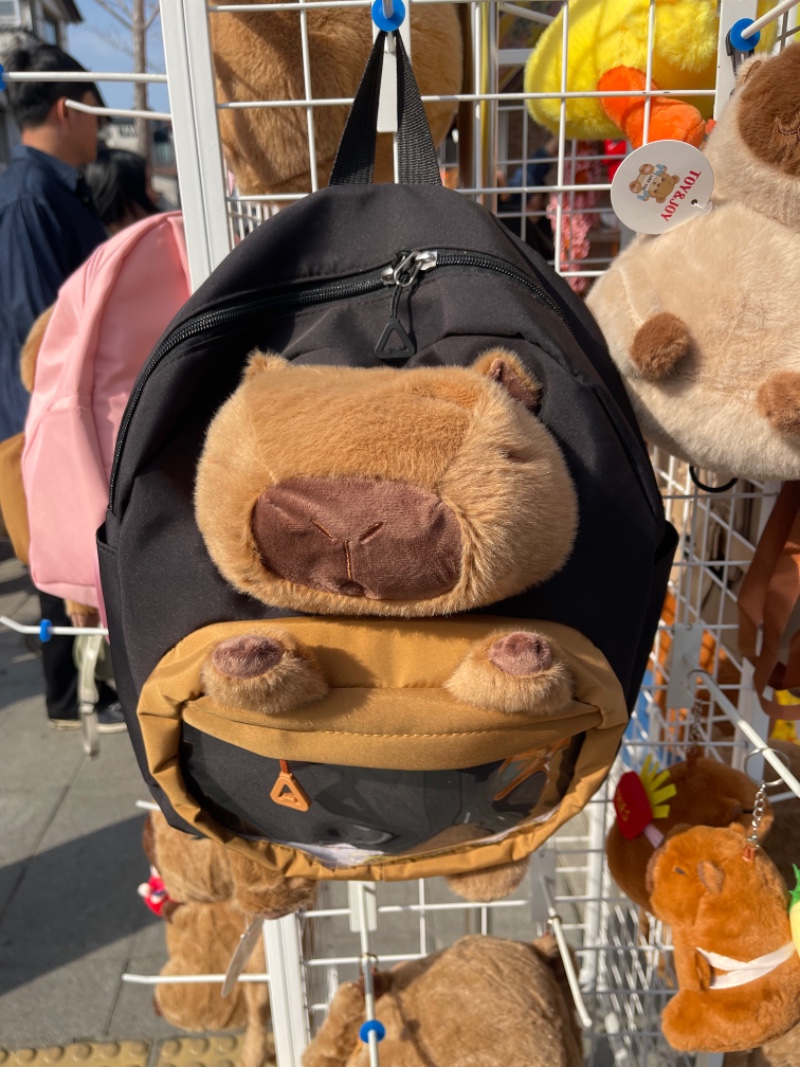 지금은 전주 ㅎㅎ 비빔이 ㅋㅋ