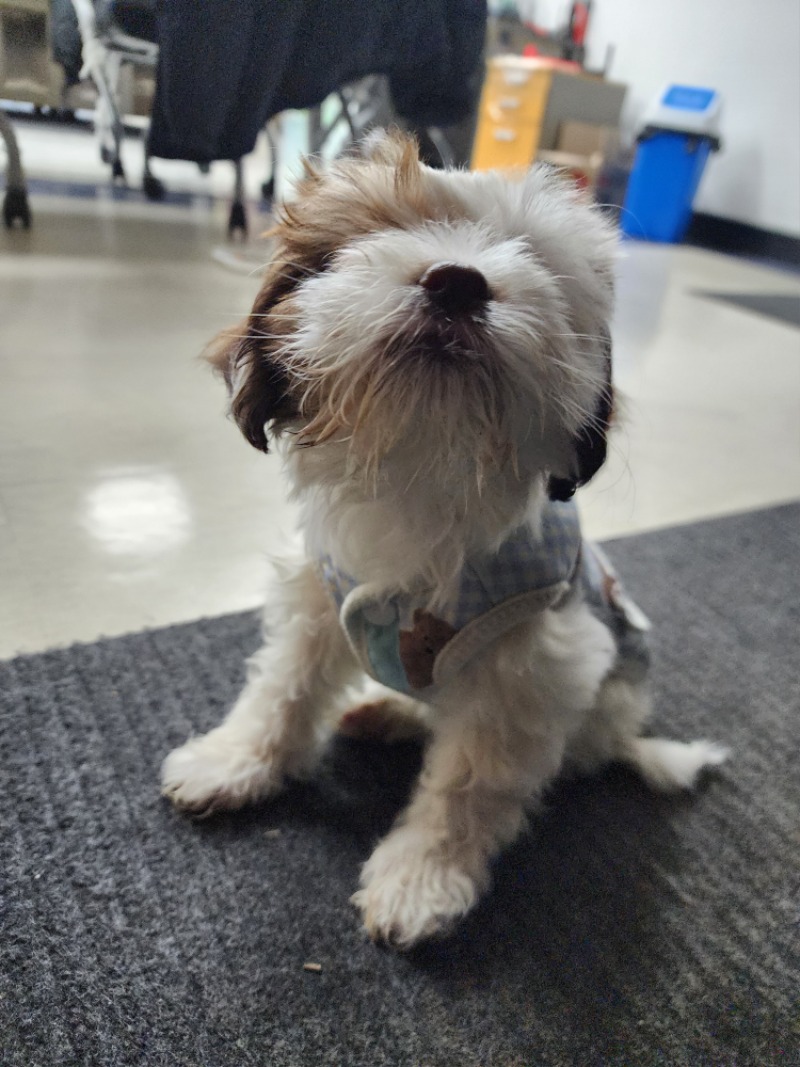 우리회사 경비견!!!