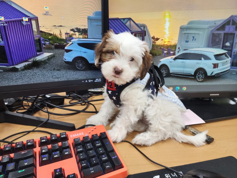 맨날 잠만자니?