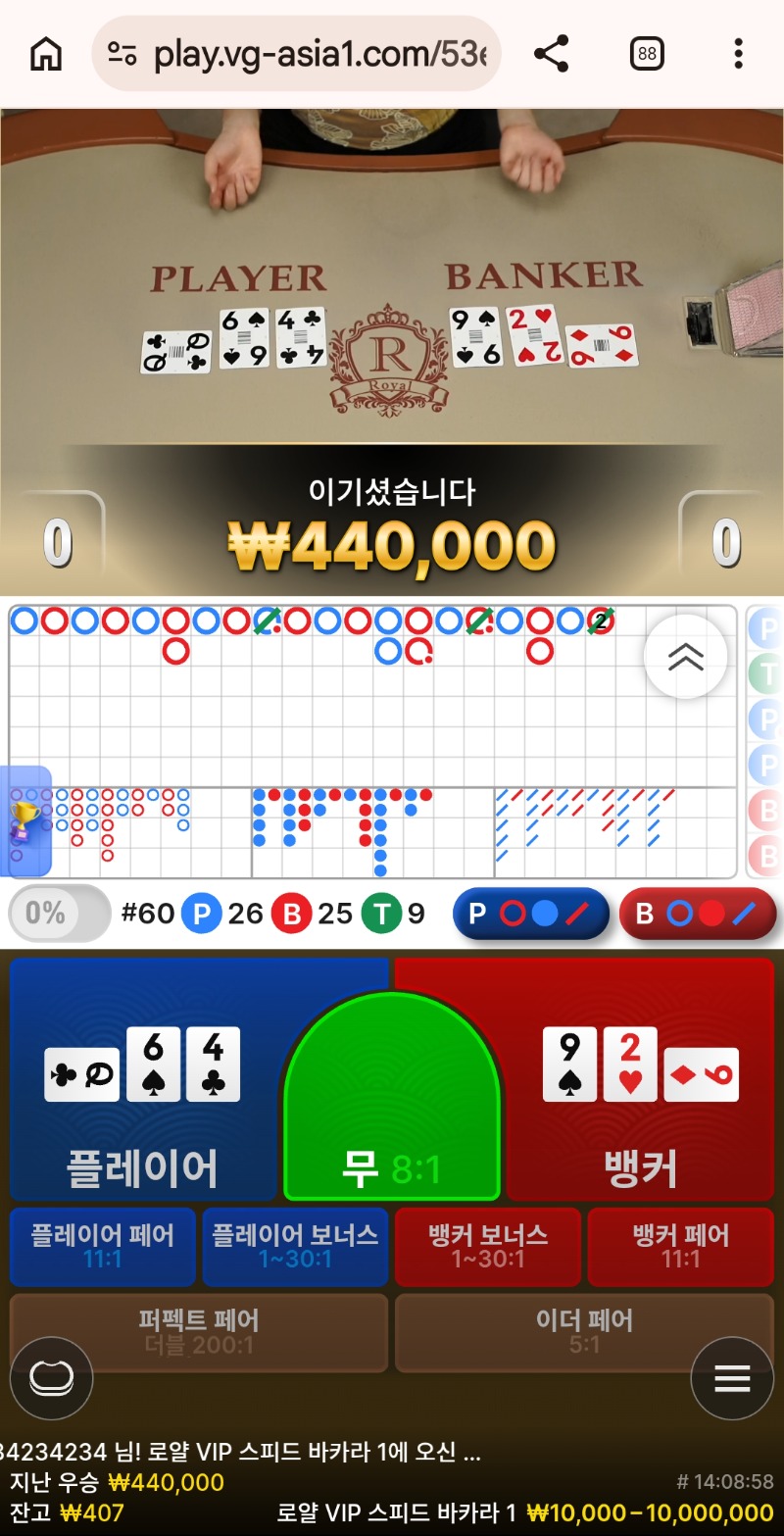 짱대짱  타이2개