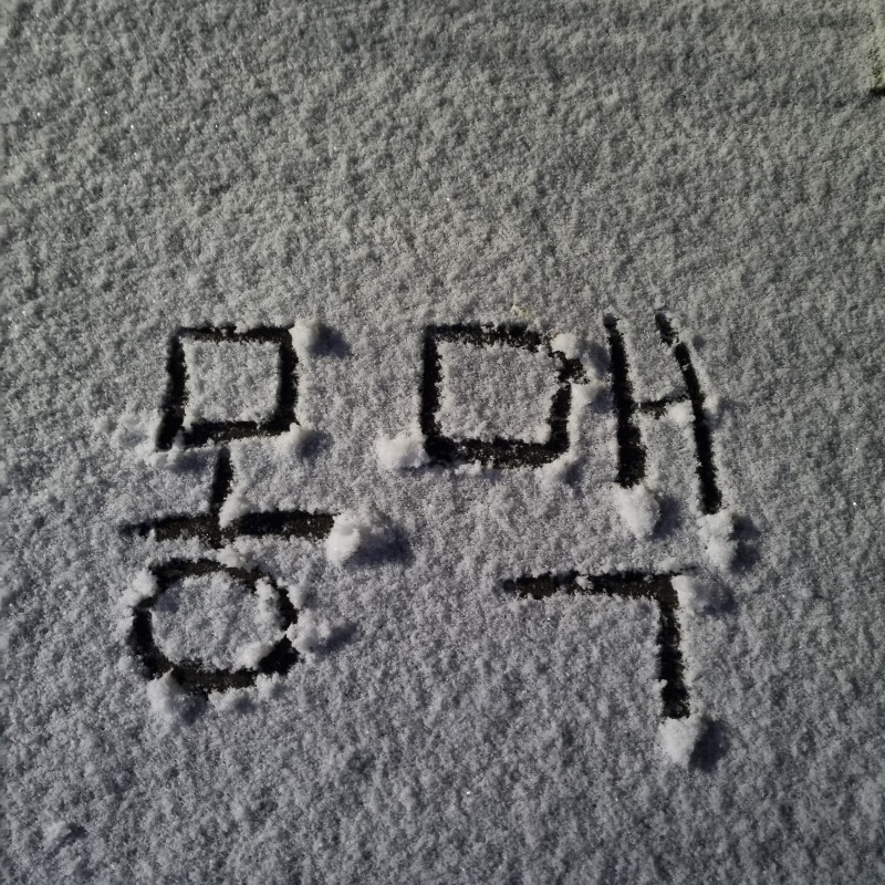 간만에 갤러리 슬카폴더를 보며 추억을 회상해봅니다