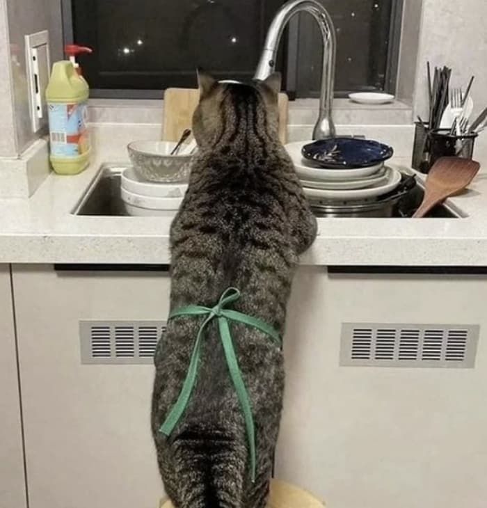 야~~~ 야앙옹 !!!!!