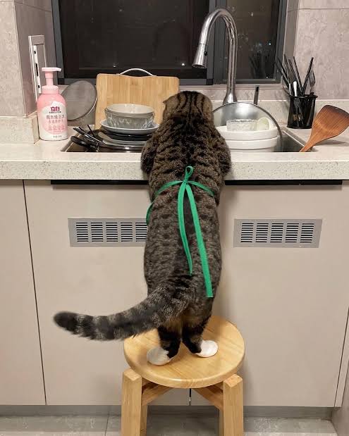 야~~~ 야앙옹 !!!!!