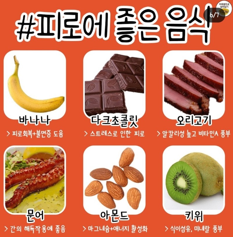 피료회복에 직빵!!