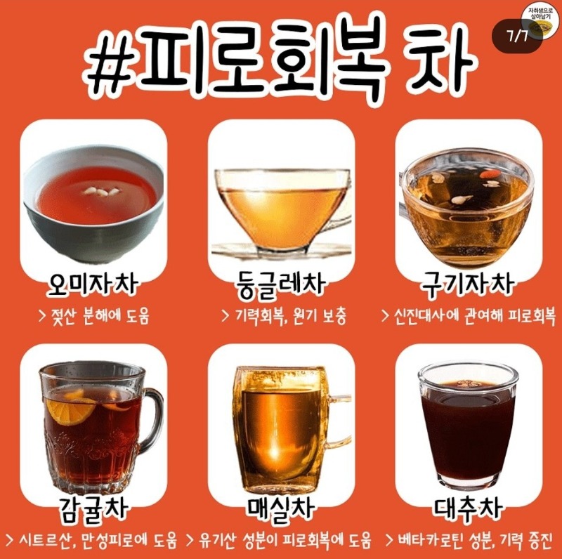 피료회복에 직빵!!