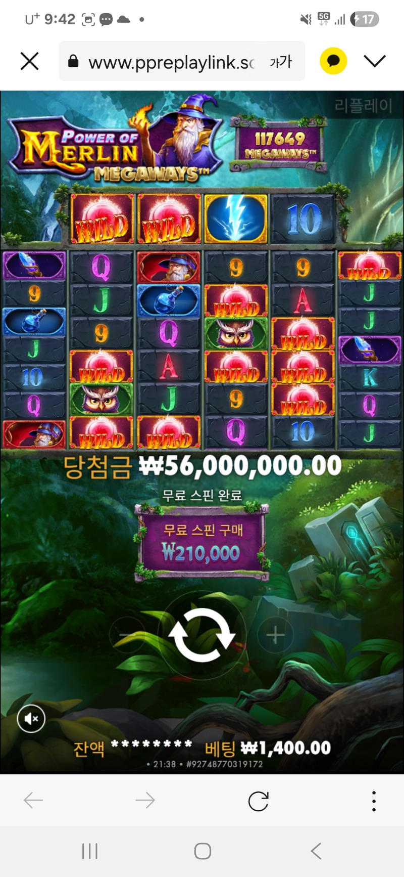 멀린 맥스 4만배