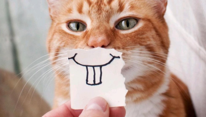 우리가 만날2026년